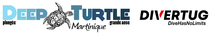 DeepTurtle-Divertug